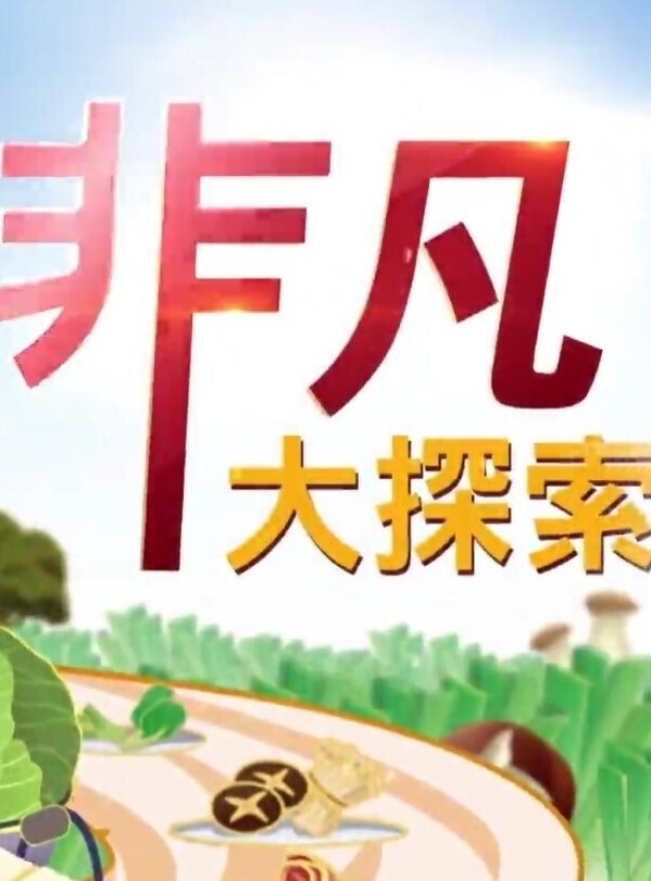 P站精选不传之秘黑丝家教老师真人启蒙性教育请在我的身体里射精 - 恋足癖